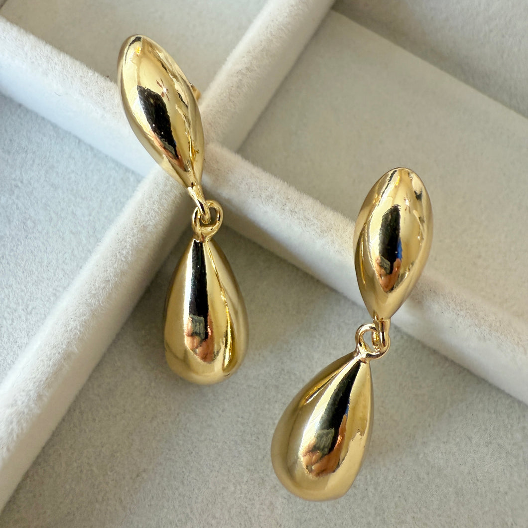 Long Drops Earrings