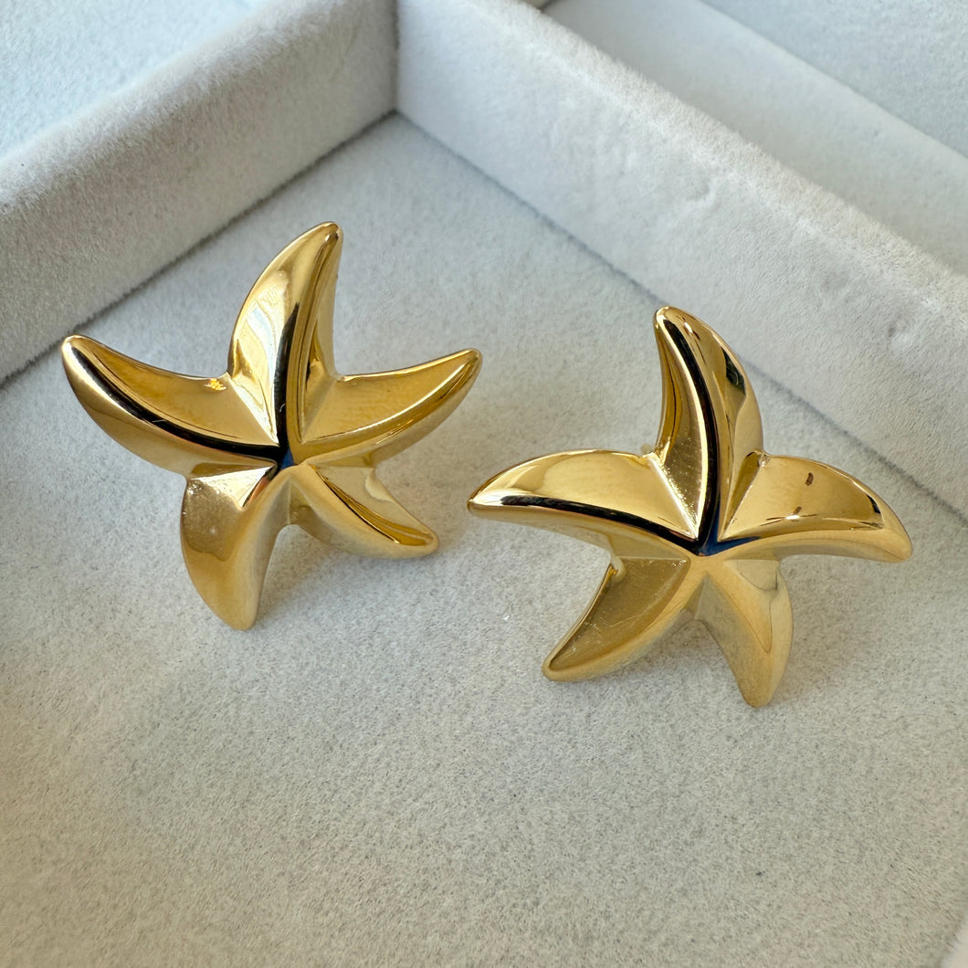 Star Earrings