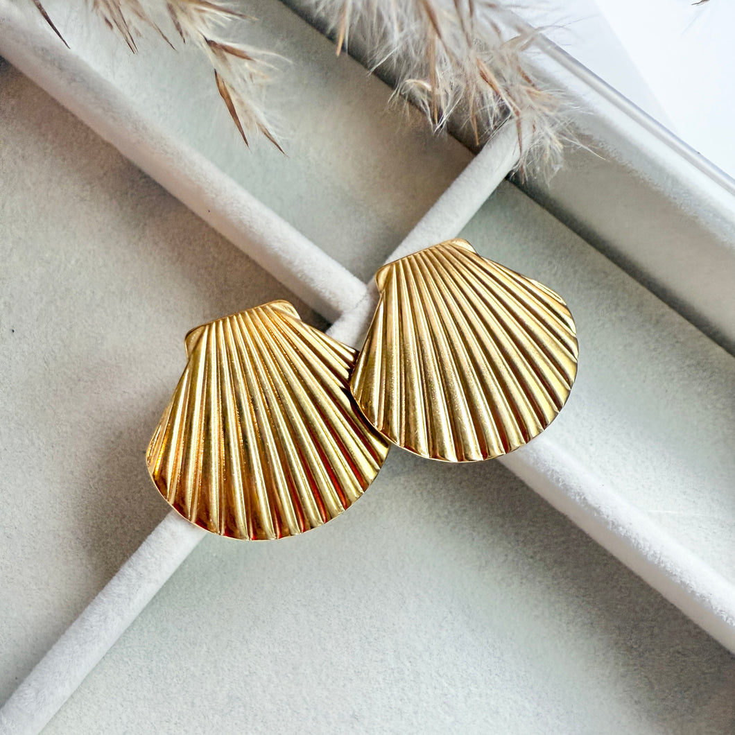 Shell Earrings