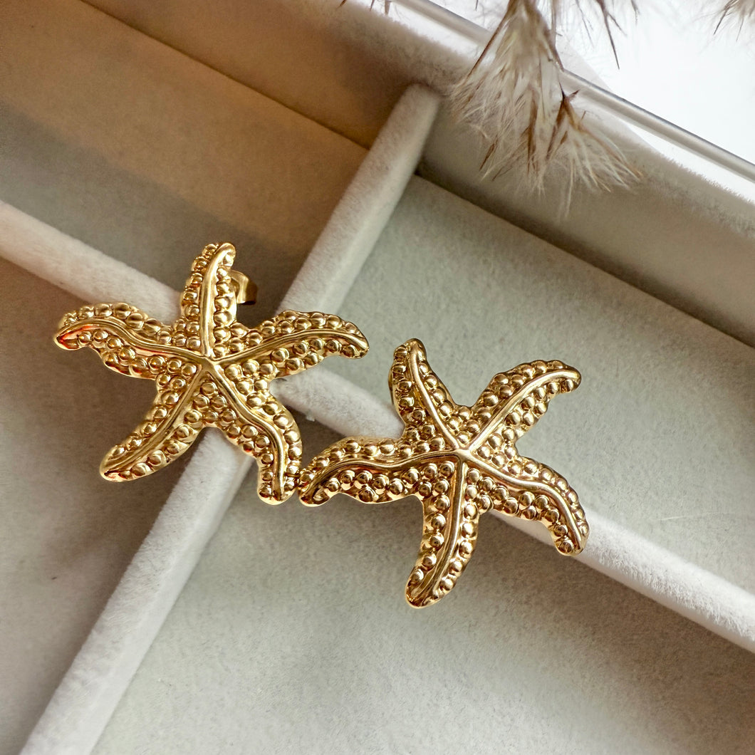 Starfish Earrings